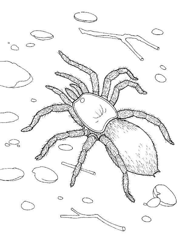 walking with monsters coloring pages - photo #10