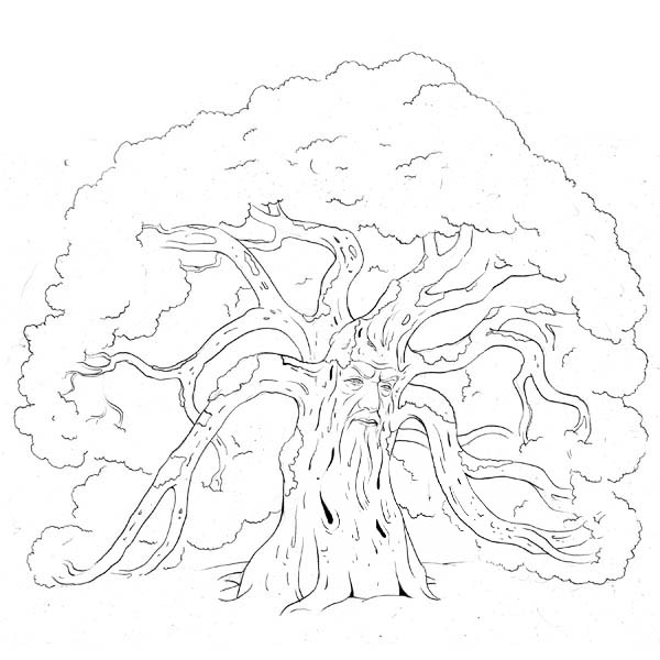 oak tree coloring pages - photo #20