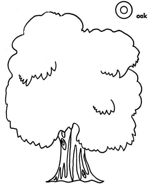oak tree coloring pages free - photo #46