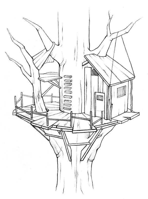 Awesome Treehouse Coloring Page: Awesome Treehouse Coloring Page